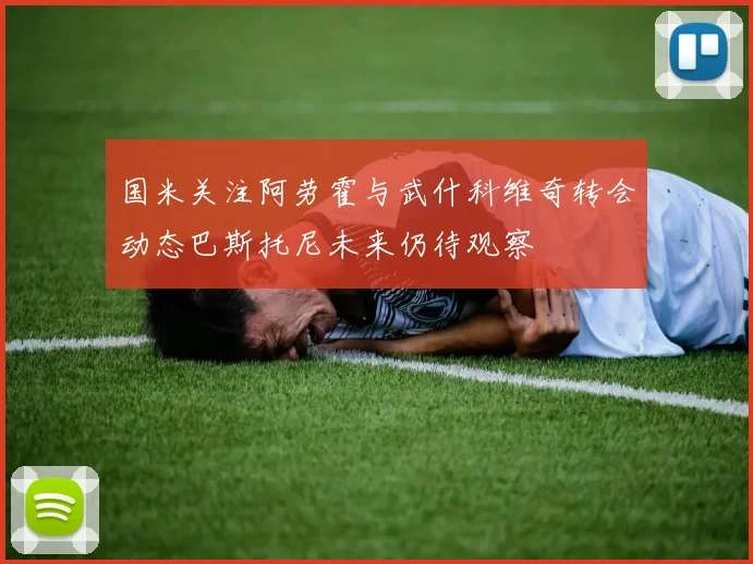 国米关注阿劳霍与武什科维奇转会动态巴斯托尼未来仍待观察