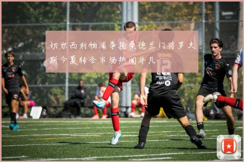 切尔西利物浦争抢桑德兰门将罗夫斯今夏转会市场热闹非凡
