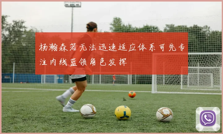杨瀚森若无法迅速适应体系可先专注内线蓝领角色发挥